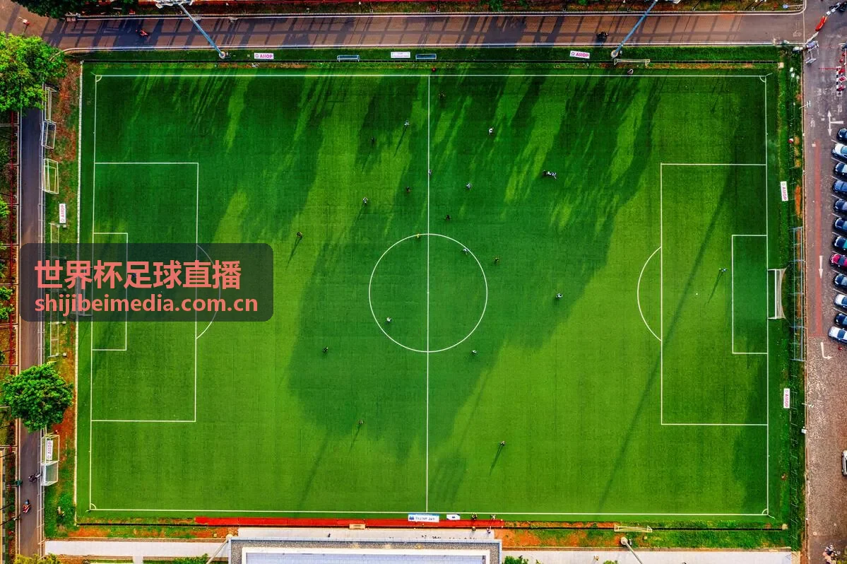 世界杯足球直播 - 意甲联赛积分争夺